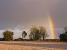 A rainbow over fields in Hertfordshire